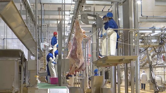 锡盟牛羊肉加工融资项目